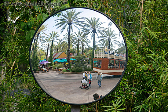 round-mirror-reflection-2.jpg