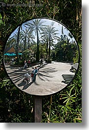 california, mirrors, reflections, round, san diego, vertical, west coast, western usa, zoo, photograph