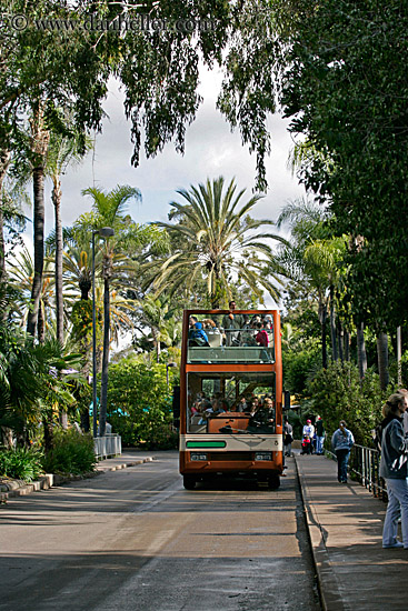 tour-bus-n-trees.jpg