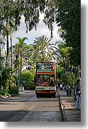 bus, california, san diego, tours, trees, vertical, west coast, western usa, zoo, photograph