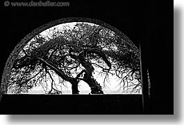 alcatraz, arches, black and white, california, horizontal, san francisco, trees, west coast, western usa, photograph