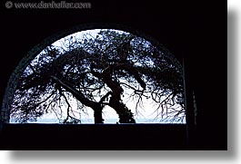 alcatraz, arches, california, horizontal, san francisco, trees, west coast, western usa, photograph