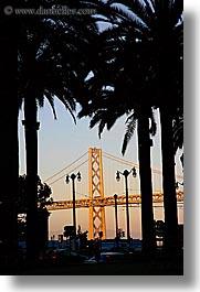 bay bridge, bridge, california, palm trees, san francisco, trees, vertical, west coast, western usa, photograph