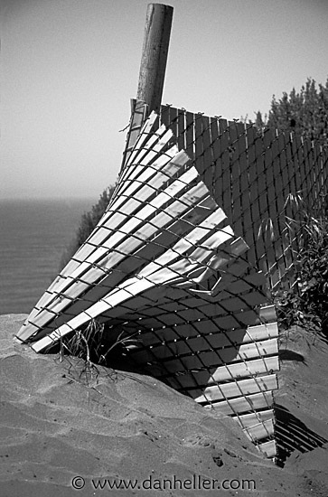 beach-fence-bw.jpg