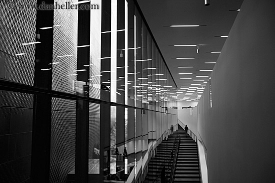 de_young-stairs-1-bw.jpg