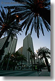 images/California/SanFrancisco/Buildings/palm_trees-n-embarcadero-center-1.jpg