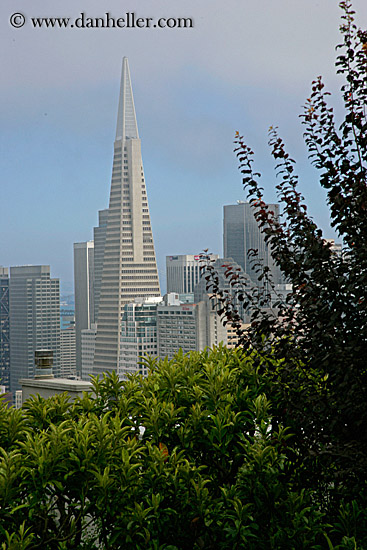 sf-cityscape-4.jpg