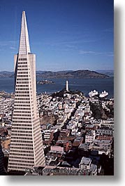 buildings, california, coit, san francisco, transamerica, vertical, west coast, western usa, photograph