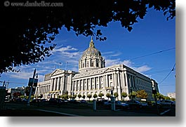 branches, california, city hall, horizontal, san francisco, west coast, western usa, photograph