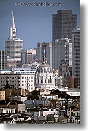 california, city hall, downtown, san francisco, vertical, west coast, western usa, photograph
