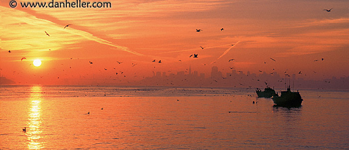 sf-sunrise-pan.jpg