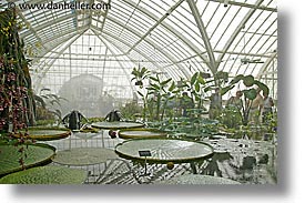 images/California/SanFrancisco/Conservatory/victorian-water-lillies-1.jpg