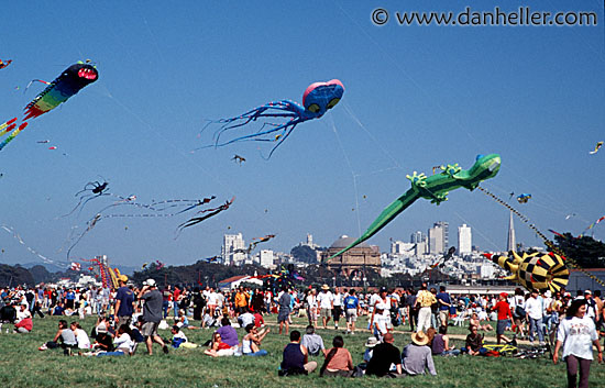 crissy-field-5.jpg