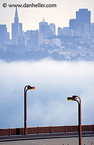 foggy-lampposts-2.jpg