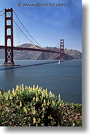 bridge, california, golden gate, golden gate bridge, national landmarks, san francisco, vertical, west coast, western usa, photograph