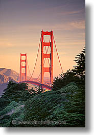 bridge, california, golden gate, golden gate bridge, national landmarks, san francisco, trees, vertical, west coast, western usa, photograph