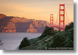 images/California/SanFrancisco/GoldenGate/ggb-tree-02.jpg