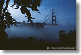 bridge, california, fog, golden gate, golden gate bridge, horizontal, national landmarks, san francisco, trees, west coast, western usa, photograph