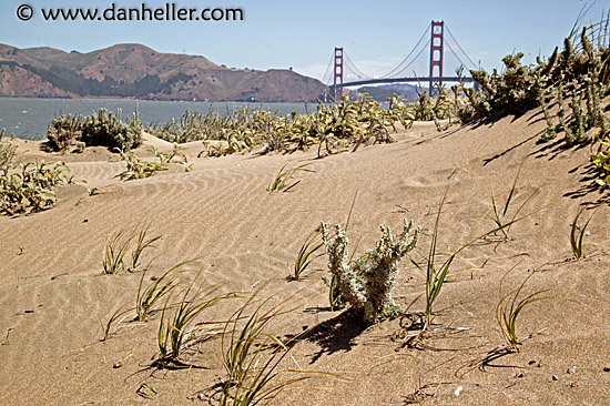 ggbridge-n-sand.jpg