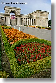 california, flowers, gardens, legion of honor, museums, san francisco, vertical, west coast, western usa, photograph