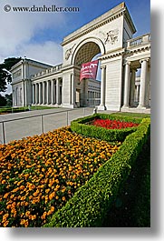 images/California/SanFrancisco/LegionOfHonor/legion_of_honor-n-flowers-3.jpg