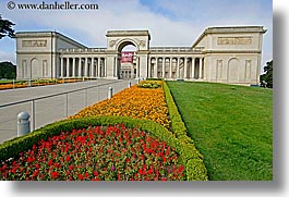 images/California/SanFrancisco/LegionOfHonor/legion_of_honor-n-flowers-8.jpg