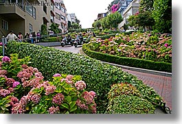 california, horizontal, lombard, lombard street, san francisco, streets, west coast, western usa, photograph