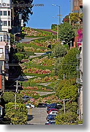 california, lombard, lombard street, san francisco, streets, vertical, west coast, western usa, photograph