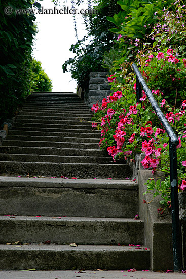 flowers-n-stairs.jpg