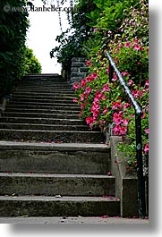california, flowers, san francisco, stairs, vertical, west coast, western usa, photograph