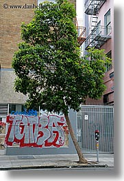 arts, california, graffiti, san francisco, trees, vertical, west coast, western usa, photograph