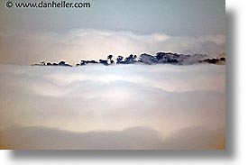 bay, california, fog, horizontal, ocean, san francisco, treespit, west coast, western usa, photograph