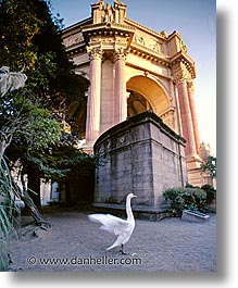 arts, california, fine, palace of fine art, san francisco, vertical, west coast, western usa, photograph