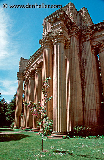 palace_fine_art-1.jpg