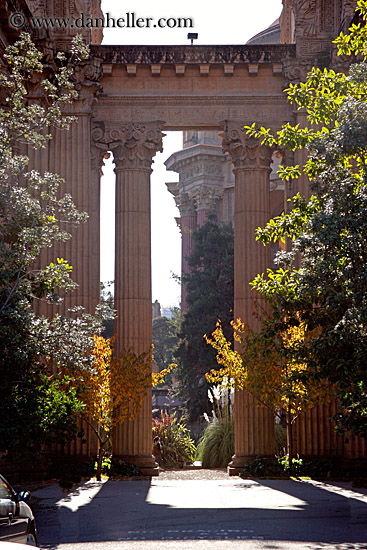 palace_fine_art-pillars-trees-1.jpg
