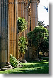 california, palace fine art, palace of fine art, pillars, san francisco, trees, vertical, west coast, western usa, photograph