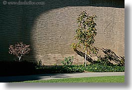 california, horizontal, palace fine art, palace of fine art, san francisco, trees, west coast, western usa, photograph