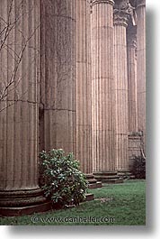 california, palace of fine art, pillars, san francisco, vertical, west coast, western usa, photograph