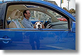 basset, bug, california, horizontal, men, people, san francisco, west coast, western usa, photograph