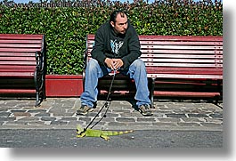 california, golden gate bridge, horizontal, iguanas, men, people, san francisco, west coast, western usa, photograph