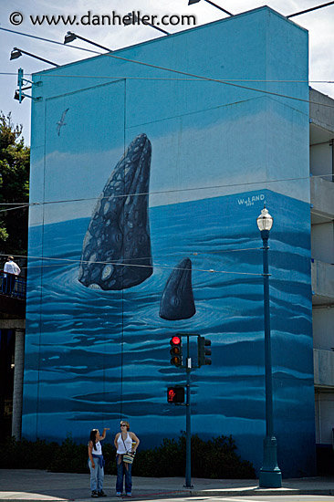 blue-whale-mural-2.jpg
