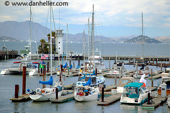 wharf-boats-3.jpg