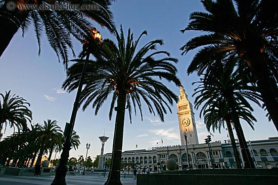 clock-tower-n-palm_trees-2.jpg