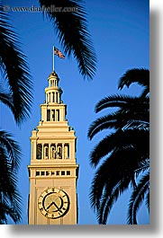 buildings, california, clocks, palm trees, ports, san francisco, towers, trees, vertical, west coast, western usa, photograph