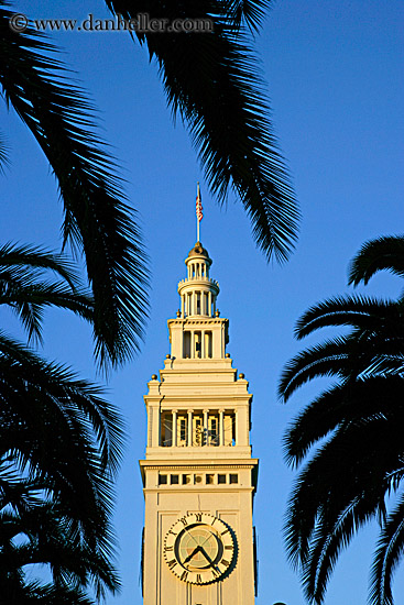 clock-tower-n-palm_trees-4.jpg
