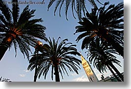 buildings, california, clocks, horizontal, palm trees, ports, san francisco, towers, trees, west coast, western usa, photograph