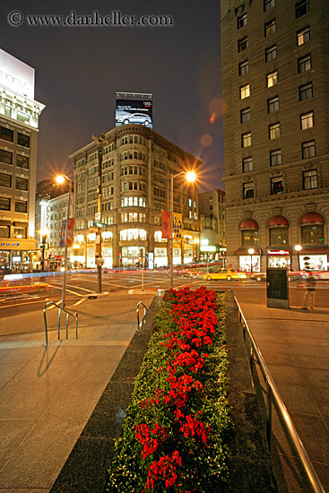 powell-n-geary-n-flowers.jpg