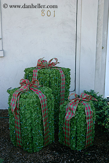 xmas-presents-bushes.jpg