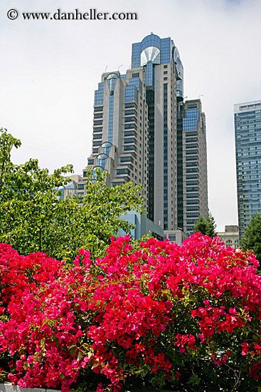 flowers-n-marriott-hotel.jpg