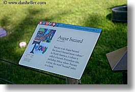 images/California/SanFrancisco/Zoo/Birds/Misc/augur-buzzard-sign.jpg